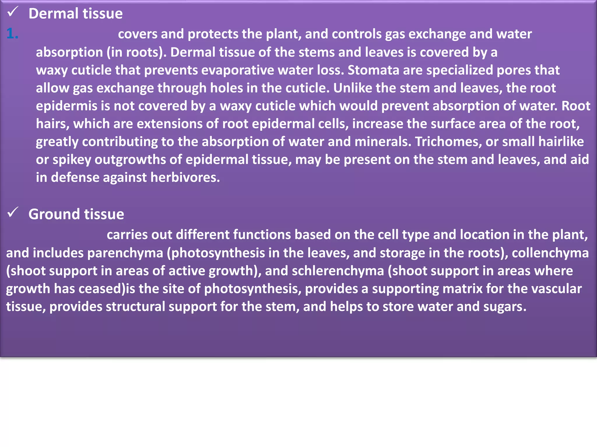 plant tissue presentation | PPTX