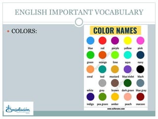 ENGLISH IMPORTANT VOCABULARY
 COLORS:
 