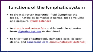 lymphatic system