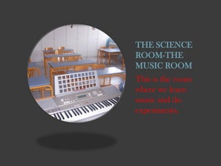 THE SCIENCE
ROOM-THE
MUSIC ROOM
This is the room
where we learn
music and do
experiments.

 