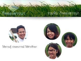 รวมทีม กิจของชาวนา 
ให้ความรู้ ประสบการณ์ ให้คาปรึกษา  