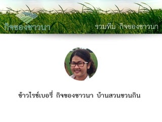 รวมทีม กิจของชาวนา 
ข้าวไรซ์เบอรี่ กิจของชาวนา บ้านสวนชวนกิน  