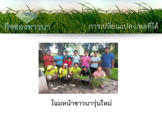 การเปลี่ยนแปลง/ผลที่ได้ 
โฉมหน้าชาวนารุ่นใหม่  