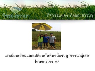 กิจกรรมของ กิจของชาวนา 
มาเยี่ยนเยียนแลกเปลี่ยนกันที่นาน้องบลู ชาวนาผู้เลอ โฉมของเรา ^^  