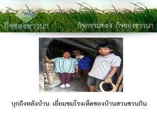 กิจกรรมของ กิจของชาวนา 
บุกถึงหลังบ้าน เยี่ยมชมโรงเห็ดของบ้านสวนชวนกิน  
