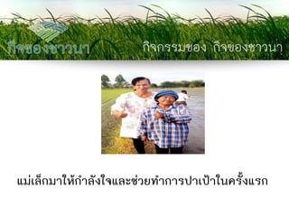 กิจกรรมของ กิจของชาวนา 
แม่เล็กมาให้กาลังใจและช่วยทาการปาเป้าในครั้งแรก  