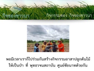 กิจกรรมของ กิจของชาวนา 
พอมีเวลาเราก็ไปร่วมกันสร้างกิจกรรมอาสาปลูกต้นไม้ ให้เป็นป่า ที่ พุทธวจนสถาบัน ศูนย์ชัยนาทด้วยกัน  