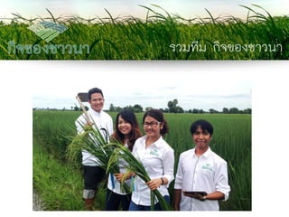 รวมทีม กิจของชาวนา  