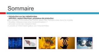 Les métadonnées de
pérennisation et l’accès aux
objets
2
PASCAL ROMAIN
Département général de la Gironde
Interface
 