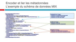 langage à balises permettant de structurer et
de décrire un ensemble d’objet au sein
d’espace de noms
• langage hiérarchique permettant de
décrire des relations
• langage de transport d’information
permettant de standardiser les échanges de
données
• peut être décrit par un schéma ou une DTD
• peut servir au stockage des données mais
également à leur interrogation
<xml version="1.0" encoding="UTF-8"?>
<ex:collection xml:lang="fr"
xmlns:dc="http://purl.org/dc/elements/1.1/"
xmlns=http://www.w3.org/1999/xhtml
xmlns:ex="http://exemple.org">
<ex:vehicule>
<dc:title>Mon super vélo</dc:title>
<velo id="2">
<taille>76</taille>
<marque>cool bike</marque>
<modele>speeder</modele>
</ex:velo>
<ex:velo taille="76" marque="coolbike"
modele="speeder" id="2" />
Encoder et lier les métadonnées:
xml (extensible markup language) : la lingua franca de
l’encodage d'information
43
 