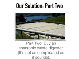 Larvae and Lagoons | PPT