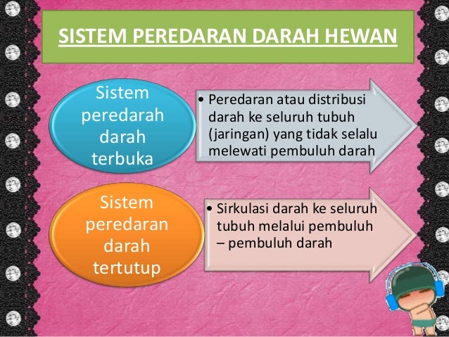 Menjelaskan Sistem Peredaran Darah Pada Hewan Invertebrata
