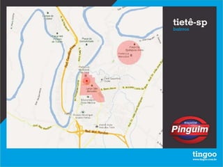 Presentation Pinguim