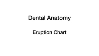 Dental Anatomy


Eruption Chart
 