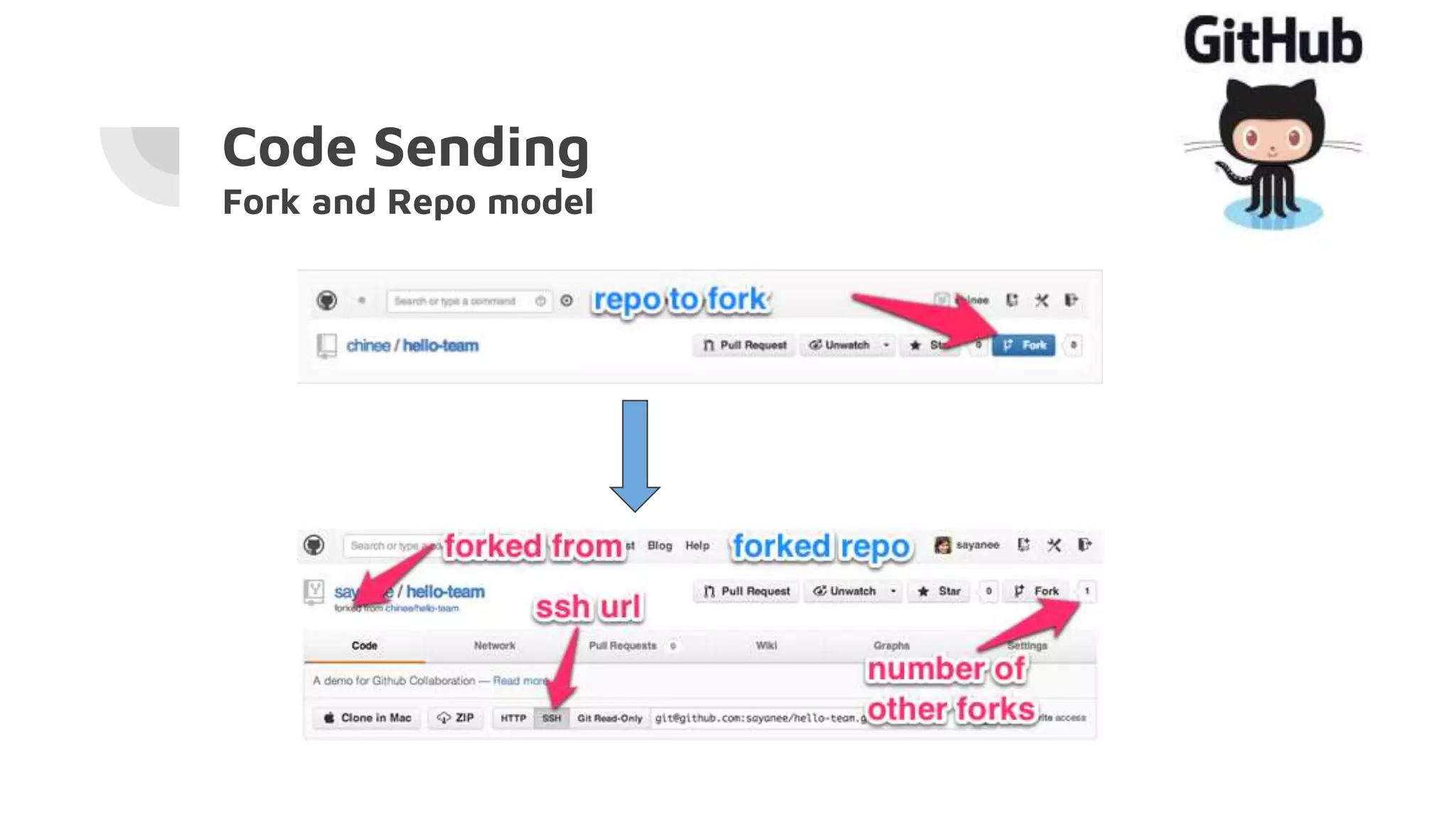 Code Sending
Fork and Repo model
 