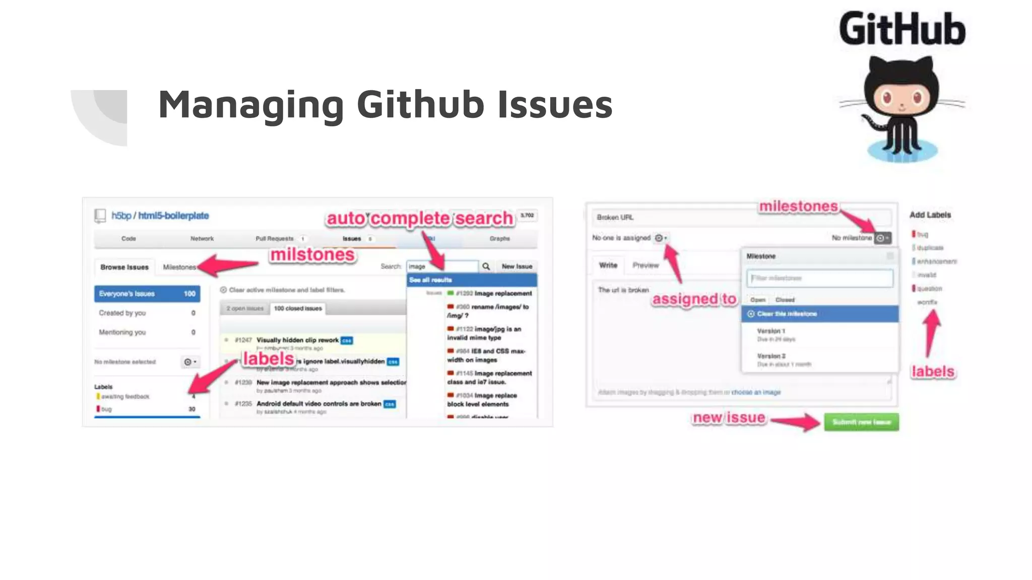 Managing Github Issues
 