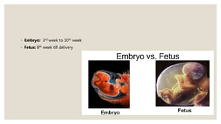 Embryo and Fetal Growth | PPTX