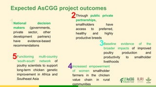 Expected AsCGG project outcomes
National decision
makers (governments,
private sector, other
development partners)
have evidence-based
recommendations
1
Through public private
partnerships,
smallholders have
access to preferred,
healthy and highly
productive breeds
2
Baseline evidence of the
broader impacts of improved
poultry production and
productivity to smallholder
livelihoods
Increased empowerment
of women smallholder
farmers in the chicken
value chain in rural
communities
4
Functioning multi-country
‘south-south’ network of
poultry scientists to support
long-term chicken genetic
improvement in Africa and
Southeast Asia
5
3
 