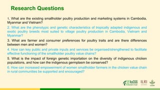 Research Questions
1. What are the existing smallholder poultry production and marketing systems in Cambodia,
Myanmar and Vietnam?
2. What are the phenotypic and genetic characteristics of tropically adapted indigenous and
exotic poultry breeds most suited to village poultry production in Cambodia, Vietnam and
Myanmar?
3. What are farmer and consumer preferences for poultry traits and are there differences
between men and women?
4. How can key public and private inputs and services be organised/strengthened to facilitate
effective functioning of the smallholder poultry value chains?
5. What is the impact of foreign genetic importation on the diversity of indigenous chicken
populations, and how can the indigenous germplasm be conserved?
6. How can increased empowerment of women smallholder farmers in the chicken value chain
in rural communities be supported and encouraged?
 