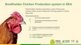 Asian Chicken Genetic Gains (AsCGG):   A platform for exploring, testing and delivering improved chickens for enhanced livelihood outcomes in South EastAsia