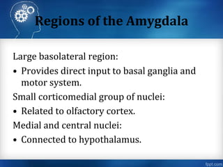 an introduction to neuropsychology | PPT