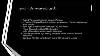 research Achievements on Oat
 Oat is 2nd important fodder of winter in Pakistan.
 In Pakistan following Research institutes are working on Oat and has released
many verities.
 Ayub Agriculture Research Institute(AARI) ,Faisalabad
 Fodder Research Institute(FRI) ,Sargodha
 National Agriculture research center, Islamabad
 The new verities are high yielding with green fodder, resistant and have
adaptability.
 Sgd. Oats 2011 has highest green yield of 87/Hac among verities.
 