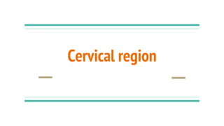 Cervical region
 