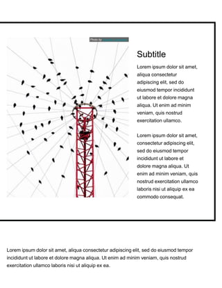 Lorem ipsum dolor sit amet, aliqua consectetur adipiscing elit, sed do eiusmod tempor
incididunt ut labore et dolore magna aliqua. Ut enim ad minim veniam, quis nostrud
exercitation ullamco laboris nisi ut aliquip ex ea.
Lorem ipsum dolor sit amet,
aliqua consectetur
adipiscing elit, sed do
eiusmod tempor incididunt
ut labore et dolore magna
aliqua. Ut enim ad minim
veniam, quis nostrud
exercitation ullamco.
Lorem ipsum dolor sit amet,
consectetur adipiscing elit,
sed do eiusmod tempor
incididunt ut labore et
dolore magna aliqua. Ut
enim ad minim veniam, quis
nostrud exercitation ullamco
laboris nisi ut aliquip ex ea
commodo consequat.
Subtitle
Photo by Claudia Costantino
 