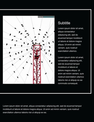 Lorem ipsum dolor sit amet, aliqua consectetur adipiscing elit, sed do eiusmod tempor
incididunt ut labore et dolore magna aliqua. Ut enim ad minim veniam, quis nostrud
exercitation ullamco laboris nisi ut aliquip ex ea.
Lorem ipsum dolor sit amet,
aliqua consectetur
adipiscing elit, sed do
eiusmod tempor incididunt
ut labore et dolore magna
aliqua. Ut enim ad minim
veniam, quis nostrud
exercitation ullamco.
Lorem ipsum dolor sit amet,
consectetur adipiscing elit,
sed do eiusmod tempor
incididunt ut labore et
dolore magna aliqua. Ut
enim ad minim veniam, quis
nostrud exercitation ullamco
laboris nisi ut aliquip ex ea
commodo consequat.
Subtitle
Photo by Claudia Costantino
 