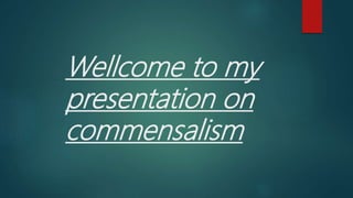 Wellcome to my
presentation on
commensalism
 
