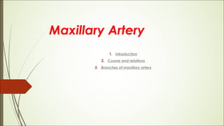 Maxillary Artery
1. Introduction
2. Course and relations
3. Branches of maxillary artery
 