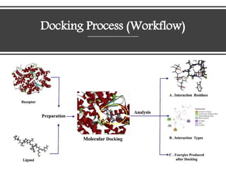 Drug Docking Software DRUG DISCOVERY & COMPUTER-AIDED DRUG DESIGN | PPTX