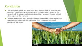 Conclusion
 The agricultural sector is of vital importance for the region. It is undergoing a
process of transition to a market economy, with substantial changes in the
social, legal, structural, productive and supply set-ups, as is the case with all
other sectors of the economy.
 Through the future of India is industrialization, the contribution of agriculture
would always prove to be vital for making India a powerful and stable
economy in the future.
 