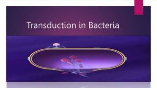 Transduction in Bacteria
 