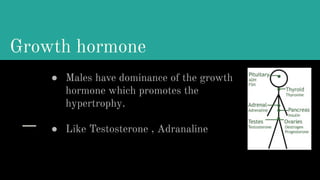 Growth hormone
● Males have dominance of the growth
hormone which promotes the
hypertrophy.
● Like Testosterone , Adranaline
 