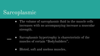Sarcoplasmic
● The volume of sarcoplasmic ﬂuid in the muscle cells
increases with no accompanying increase a muscular
strength.
● Sarcoplasmic hypertrophy is charecteristic of the
muscles of certain “Bodybuilders”.
● Bloted, soft and useless muscles.
 