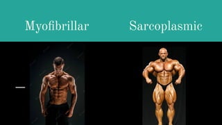 Myoﬁbrillar Sarcoplasmic
 