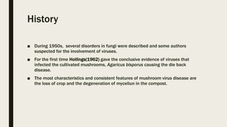 History
■ During 1950s, several disorders in fungi were described and some authors
suspected for the involvement of viruses.
■ For the first time Hollings(1962) gave the conclusive evidence of viruses that
infected the cultivated mushrooms, Agaricus bisporus causing the die back
disease.
■ The most characteristics and consistent features of mushroom virus disease are
the loss of crop and the degeneration of myceliun in the compost.
 