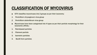 CLASSIFICATION OF MYCOVIRUS
■ ICTV classifies mycoviruses into 2 groups as per their taxonomy:
1. Penicillium chrysogenum virus group
2. Penicillium stoloniferum virus group
■ Mycoviruses have been categorised into 4 types as per their particle morphology for their
taxonomic affinity :
1. Rod-shpaed particles
2. Filament particle
3. Isometric particles
4. Bacilli form particles
 
