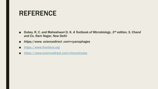 REFERENCE
■ Dubey, R. C. and Maheshwari D. K. A Textbook of Microbiology ,3rd edition, S. Chand
and Co, Ram Nagar, New Delhi
■ https://www. sciencedirect .com>cyanophages
■ https://www.frontiers.org
■ https://www.sciencedirect.com>mycoviruses
 