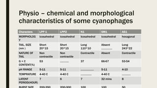 Physio – chemical and morphological
characteristics of some cyanophages
Characters LPP 1 LPP2 N1 SM1 AS1
MORPHOLOG
Y
icosahedral icosahedral Icosahedral icosahedral hexagonal
TAIL, SIZE
(nm )
Short
20*15
Short
20*15
Long
110*10
Absent
……………
Long
243*22
NATURE OF
TAIL
Non
contractile
Non
contractile
Contractile Absent Contractile
G + C
CONTENT(%)
53 ………… 37 66-67 53-54
pH RANGE 5-11 5-11 ……………… 5-11 4-10
TEMPRATURE 4-40 C 4-40 C …………… 4-40 C …………
LATENT
PERIOD(HOUR)
7 6 7 32 mins 8
 