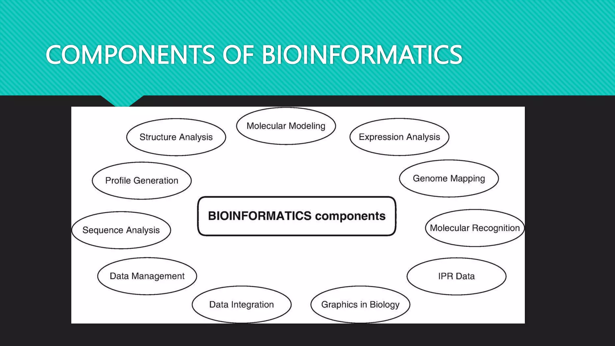 COMPONENTS OF BIOINFORMATICS
 