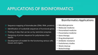 APPLICATIONS OF BIOINFORMATICS
 Sequence mapping of biomolecules (DNA, RNA, proteins).
 Identification of nucleotide sequences of functional genes.
 Finding of sites that can be cut by restriction enzymes.
 Designing of primer sequence for polymerase chain
reactio
 Development of models for the functioning various cells,
tissues and organs.
 