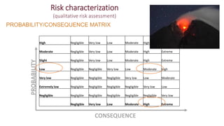 Use of risk assessment for food safety management with an integrated One Health approach