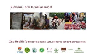 Vietnam: Farm to fork approach
One Health Team (public health, vets, economic, gender& private sector)
 