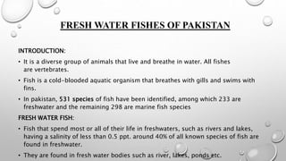 FRESH WATER FISHES OF PAKISTAN
INTRODUCTION:
• It is a diverse group of animals that live and breathe in water. All fishes
are vertebrates.
• Fish is a cold-blooded aquatic organism that breathes with gills and swims with
fins.
• In pakistan, 531 species of fish have been identified, among which 233 are
freshwater and the remaining 298 are marine fish species
FRESH WATER FISH:
• Fish that spend most or all of their life in freshwaters, such as rivers and lakes,
having a salinity of less than 0.5 ppt. around 40% of all known species of fish are
found in freshwater.
• They are found in fresh water bodies such as river, lakes, ponds etc.
 