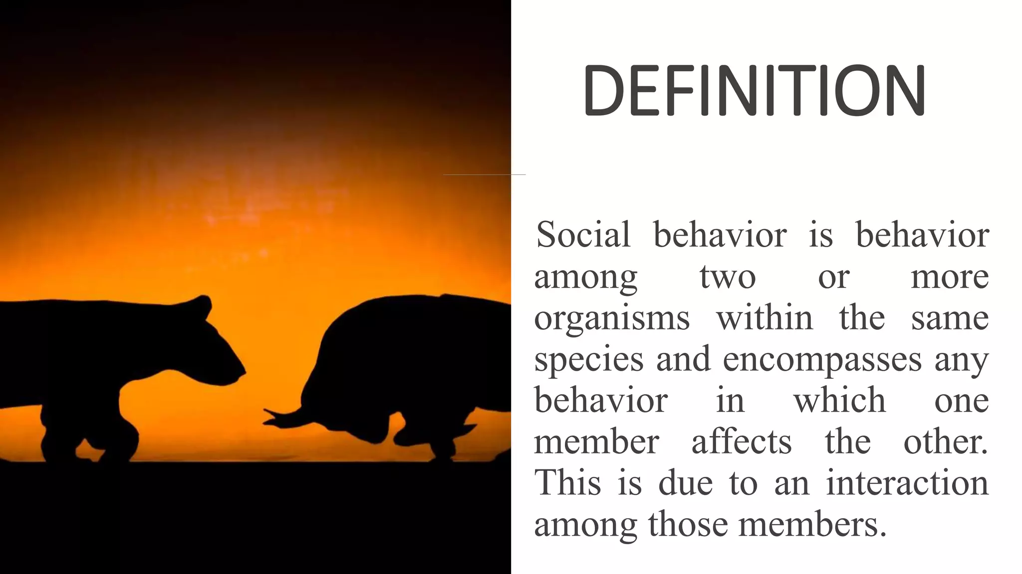 Social behavior and its types PPT