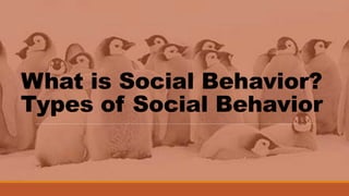 What is Social Behavior?
Types of Social Behavior
 