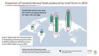 Safer food for traditional markets from a One health perspective