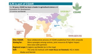 Safer food for traditional markets from a One health perspective
